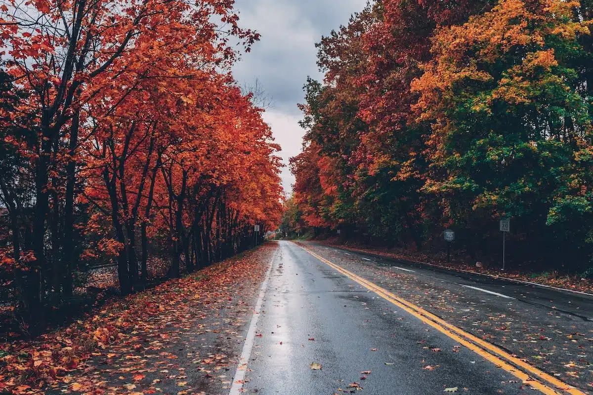 beauté automne
