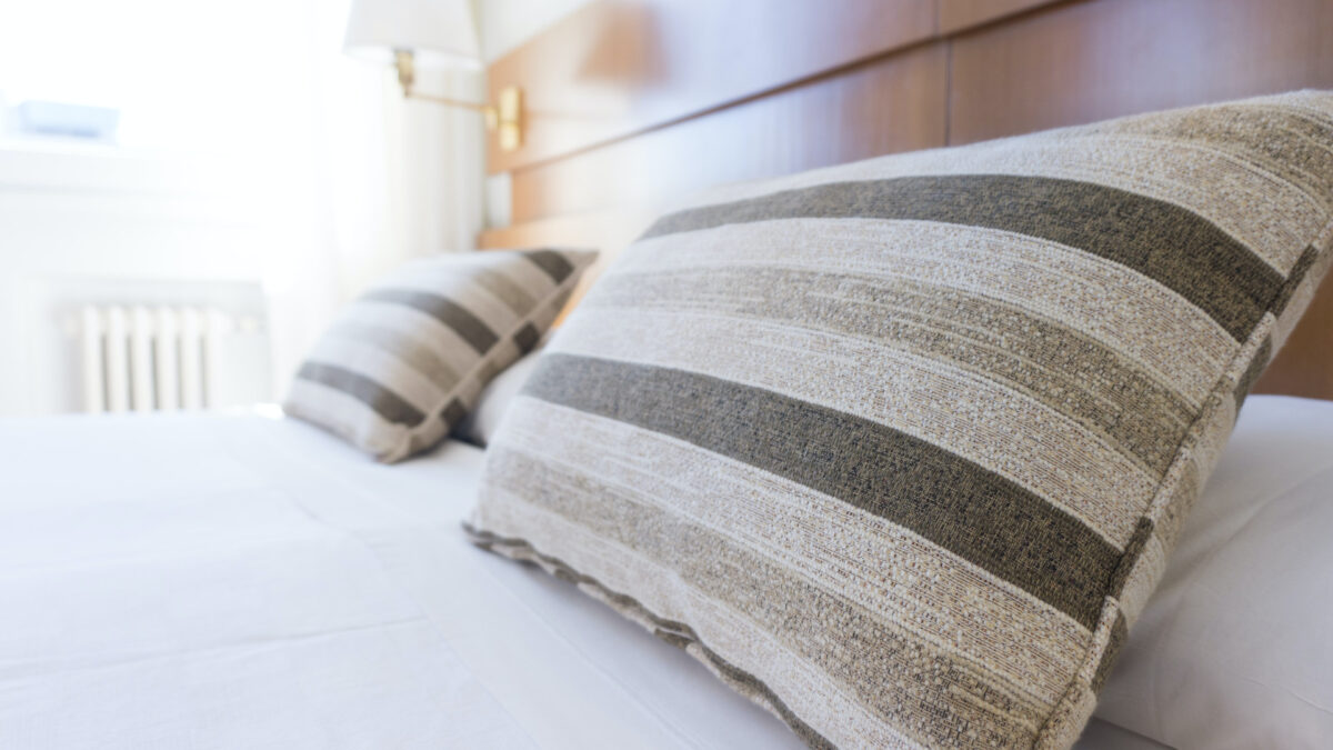 Punaises de lit en voyage : comment agir efficacement ?